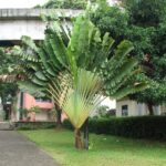 IMG-20251029-WA0004
